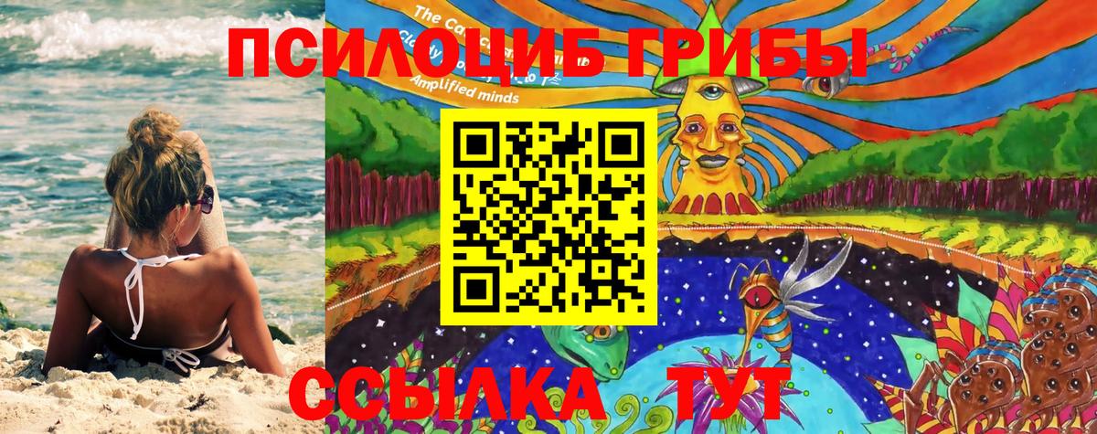 Галлюциногенные грибы Psilocybe  Галлюциногенные грибы прущие грибы  Асбест 