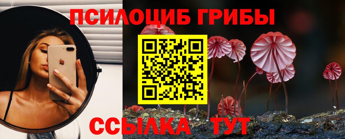 Псилоцибиновые грибы Psilocybe  Вход с VPN  Асбест 